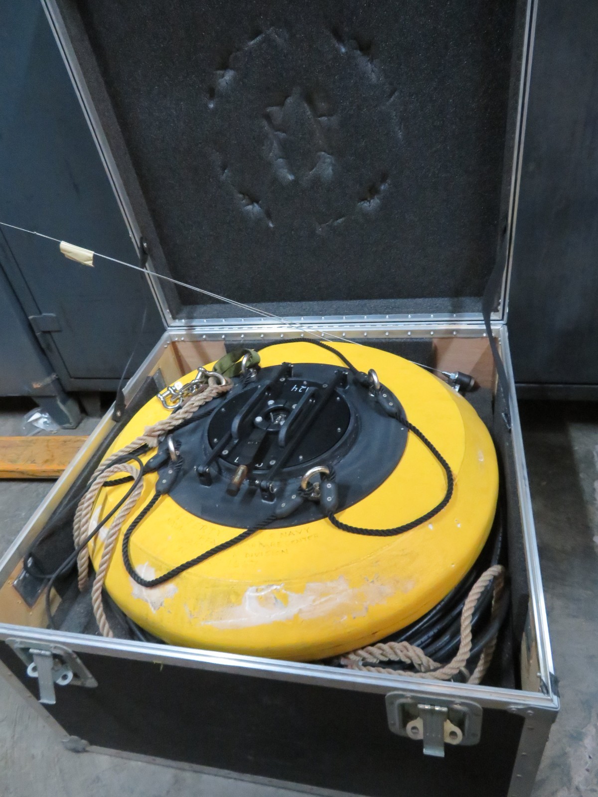 YSI Endeco NexSens 30" Wave Buoy Wave Measurement Buoy