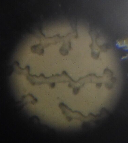 Farrand Optical - 60X Alignment Telescope in case - PJ8 - Image 5